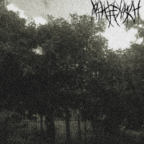 Swamp of Despondency